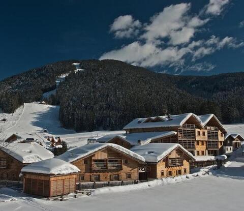 Alm-Chalet Hotel Alpina