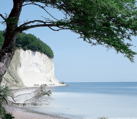 An die Nordsee mit Hofer Reisen