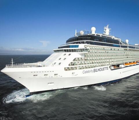 Celebrity Silhouette