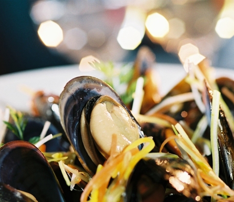 Muscheldinner im Naturhistorischen Museum Muscheldinner im Naturhistorischen Museum