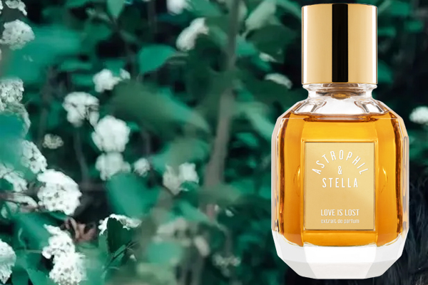 Love is lost Extrait de Parfum