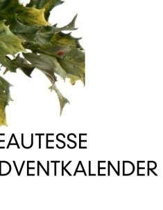 Xmas beautesse