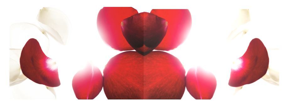 KORRES Wild Rose Advanced Brightening & Nourishing Face Oil KORRES Wild Rose Advanced Brightening & Nourishing Face Oil