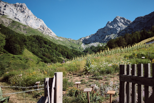 Die Domaine Clarins wurde 2016 gegründet