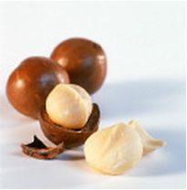 Macademia Nuss