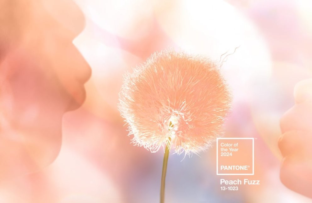 Die Farbe des Jahres 2024 ist Peach Fuzz 13-1023