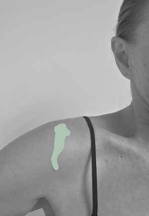 Pistazien sind in Form von Öl und Duftaromen in der Beauty Welt präsent