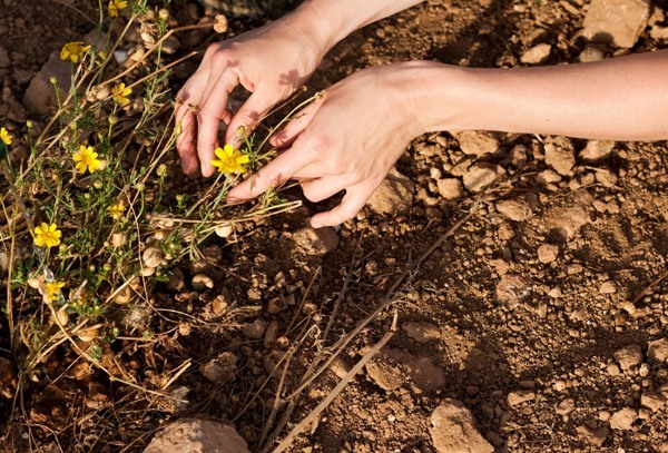 Ohne Bodenkontakt gibt es keine Naturkosmetik Ohne Bodenkontakt gibt es keine Naturkosmetik