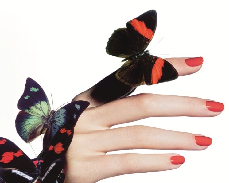 Chanel Papillon Chanel Papillon
