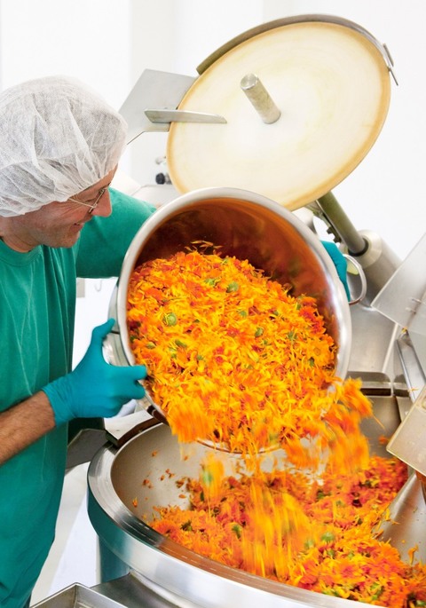 Calendula in der Produktion